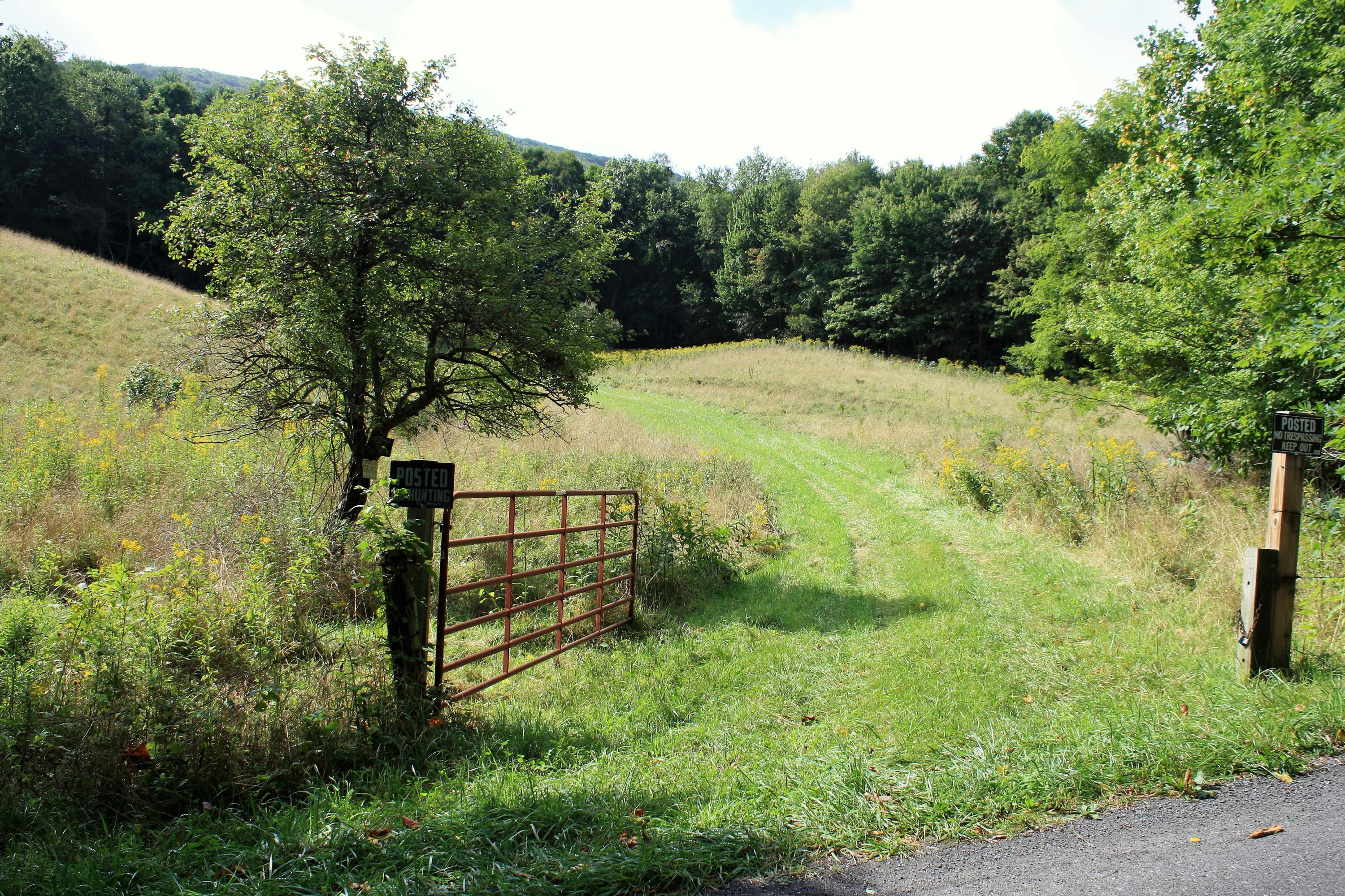 View of Field