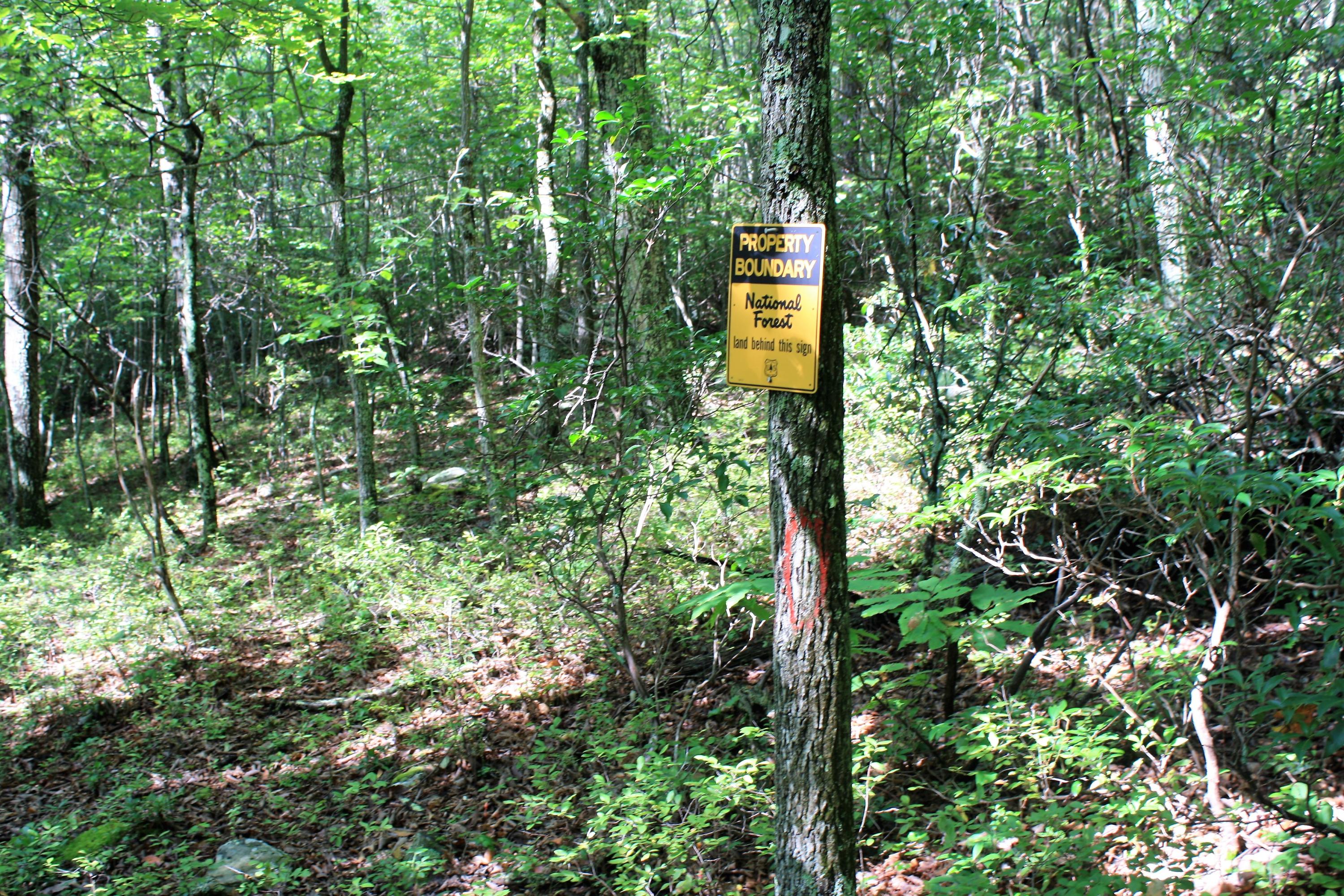 National Forest Boundary