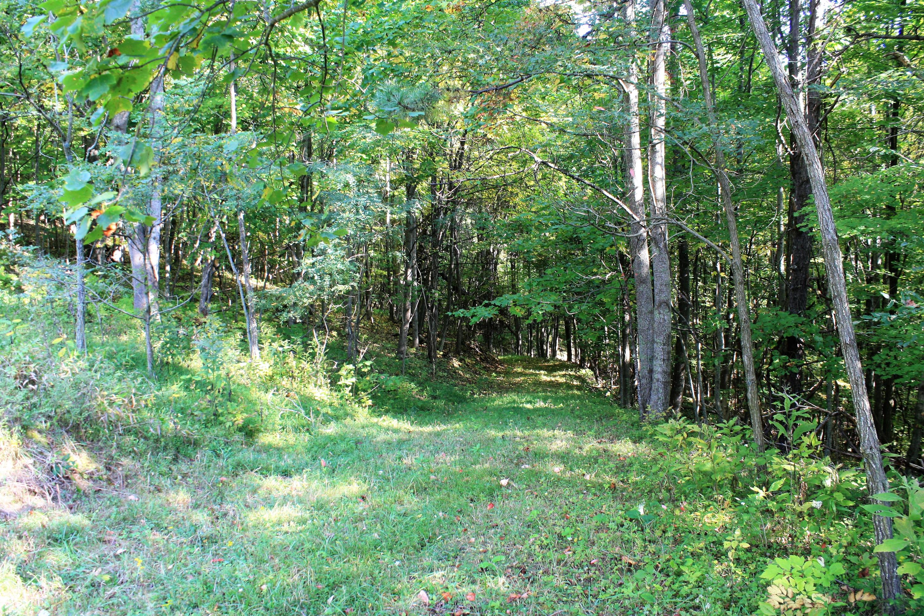 Interior Road