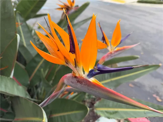 a view of a balcony with chairs