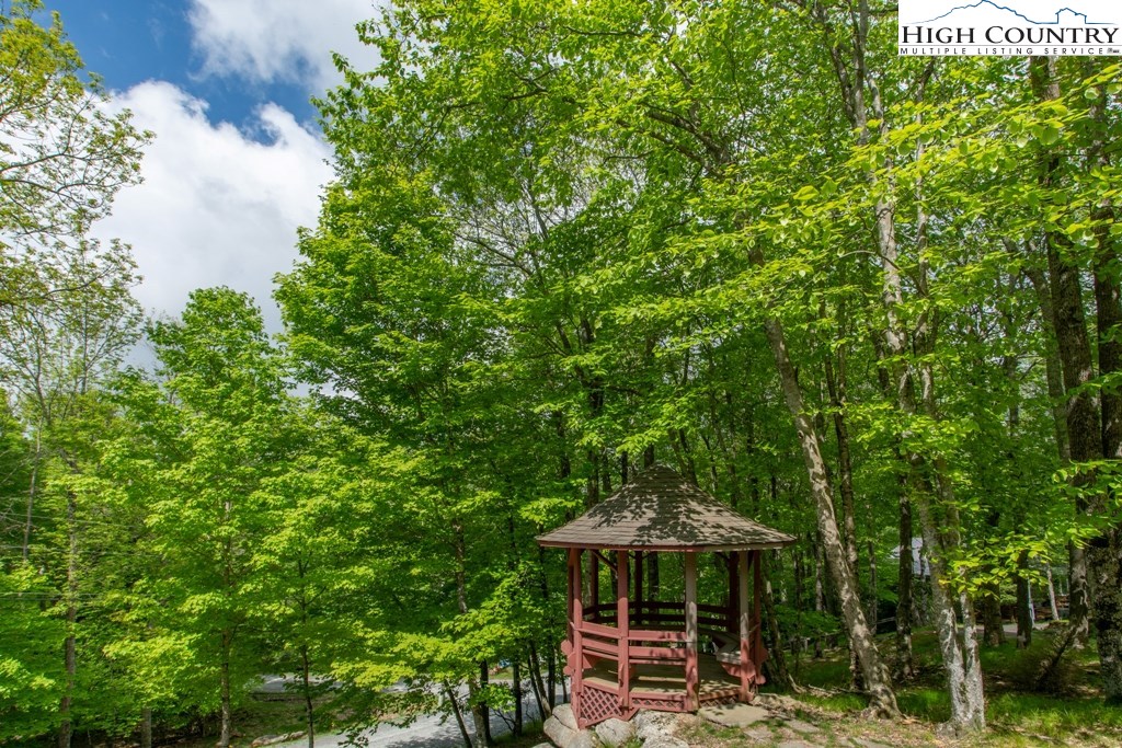 104 Lower Grouse Ridge Road Beech Mountain, NC 28604 - Photo 17 of 21 Gallery Image 17