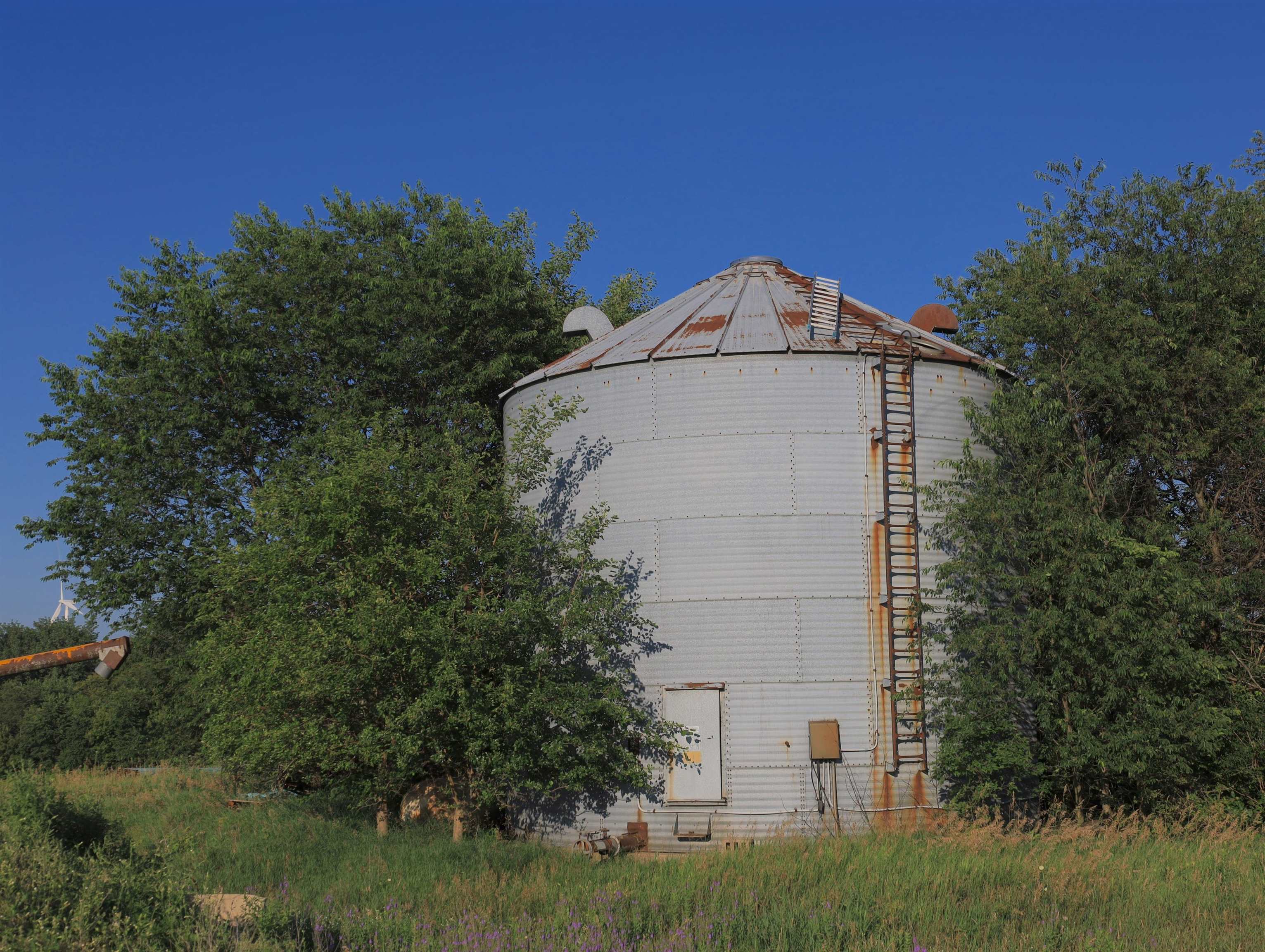 0 Todd Road Amboy, IL 61310 - Photo 48 of 58