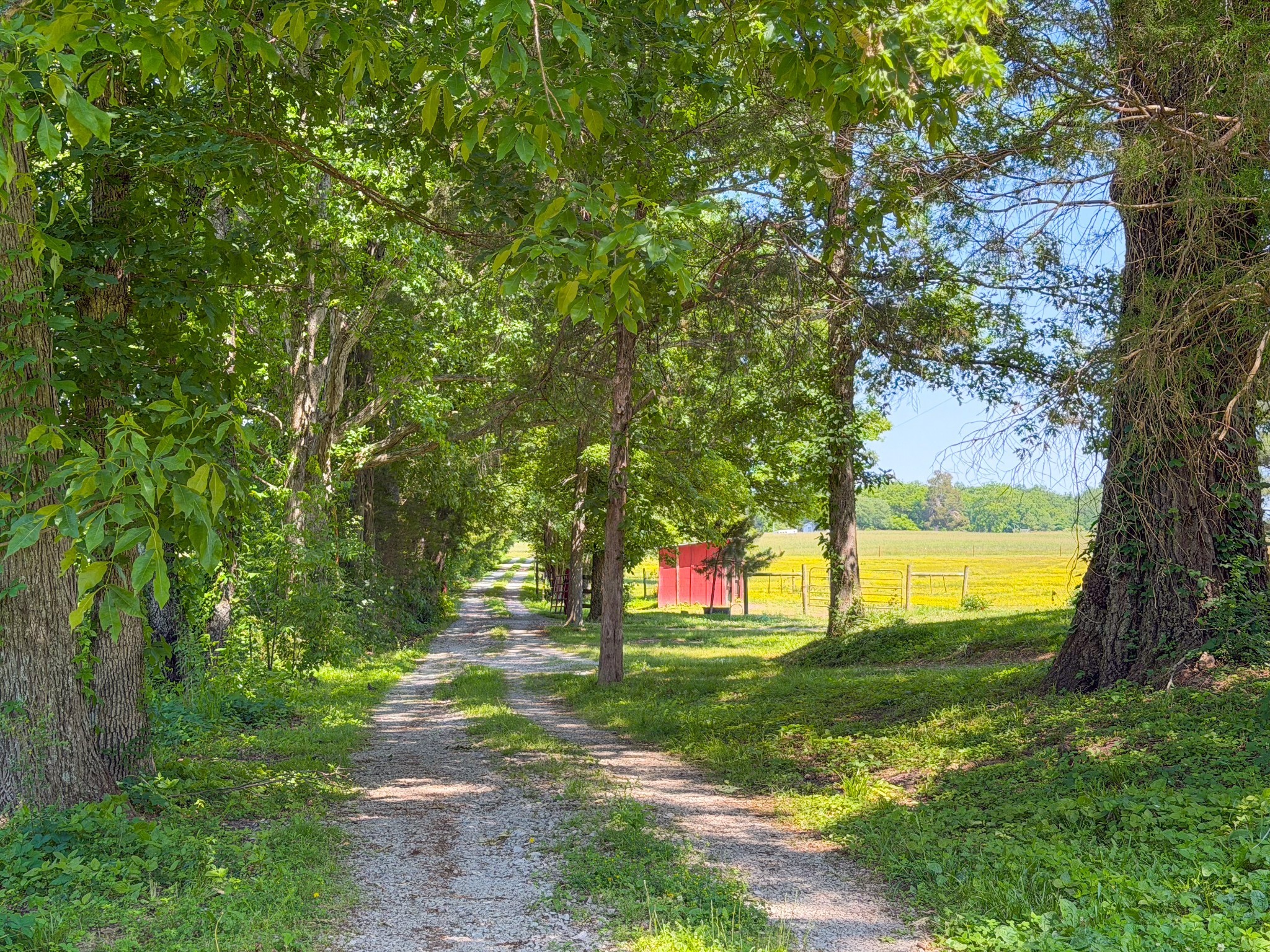 3800 Salem Road Minor Hill, TN 38473 - Photo 43 of 53
