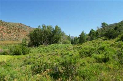 52 Red Canyon Creek Road Edwards, CO 81632 - Photo 4 of 8 Additional Photo