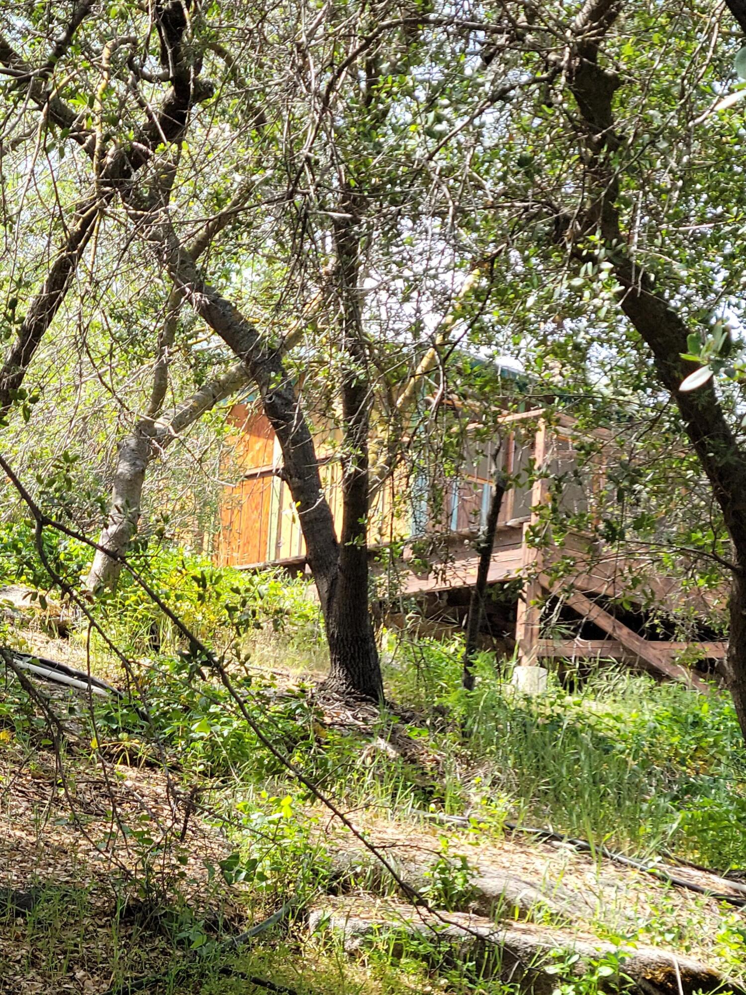 43021 North Fork Drive Three Rivers, CA 93271 - Photo 5 of 9 20220410_143405