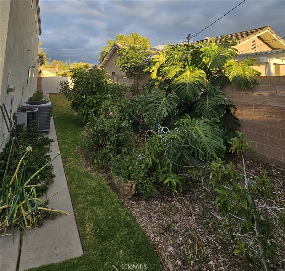 11541 Donovan Road Rossmoor, CA 90720 - Photo 42 of 51 Side yard with Avocado Trees