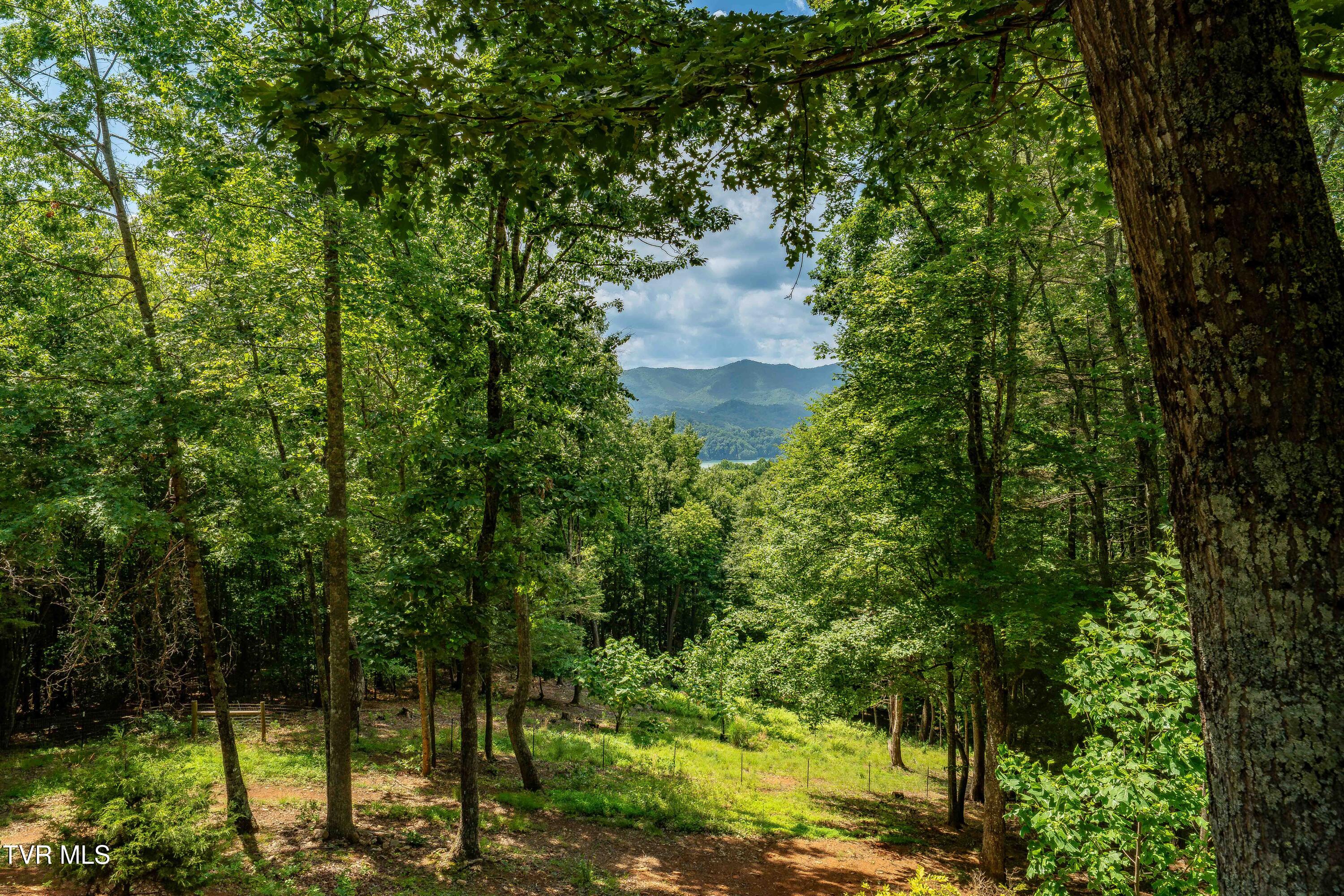 191 Bear Ridge Drive Butler, TN 37640 - Photo 63 of 80 191 Bear Ridge Dr (24 of 80)