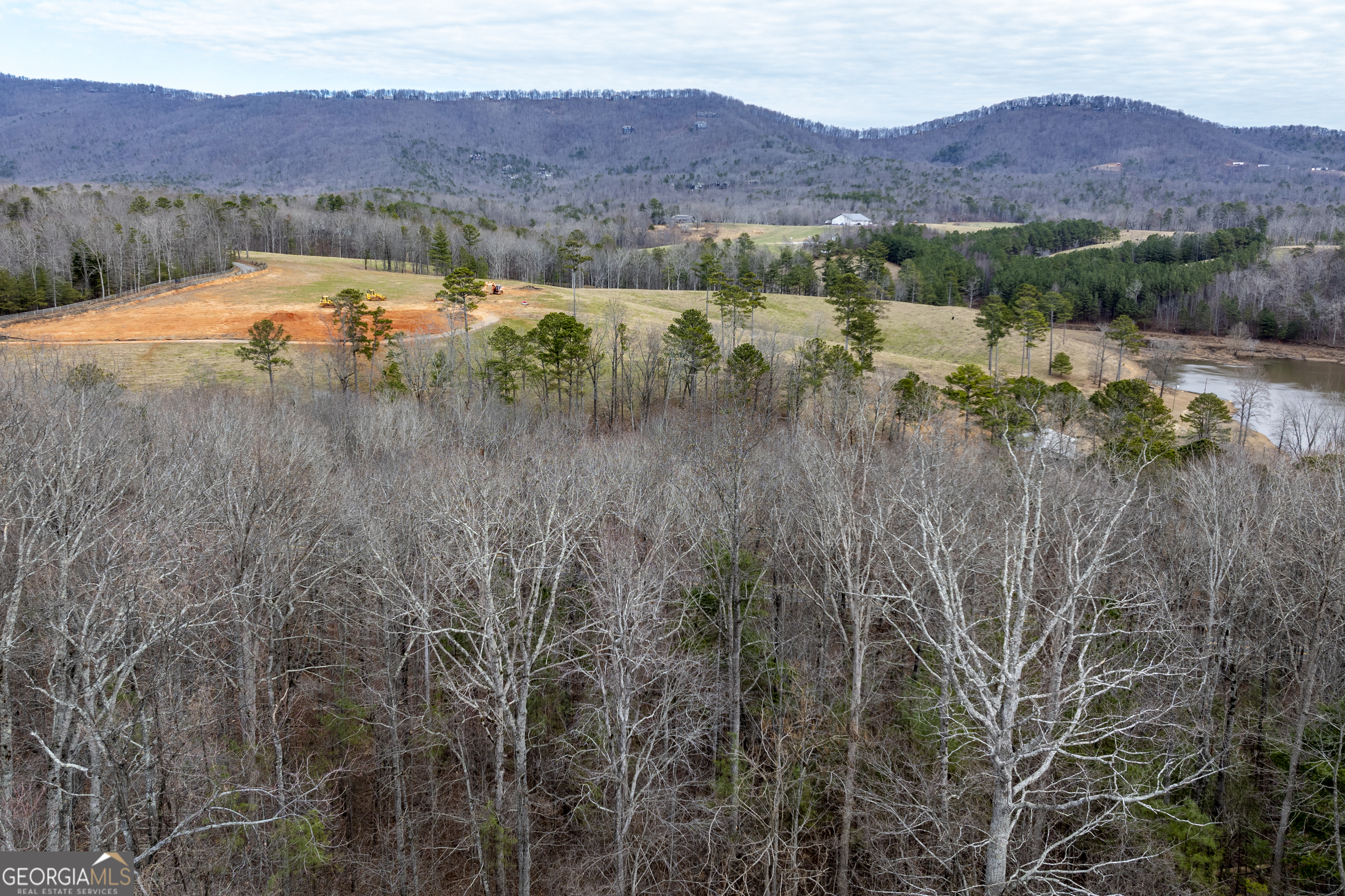 0 Cowart Mountain Road Jasper, GA 30143 - Photo 12 of 14
