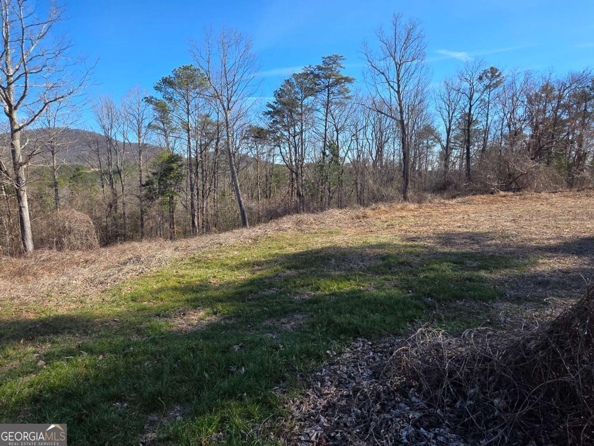 0 Cowart Mountain Road Jasper, GA 30143 - Photo 4 of 14