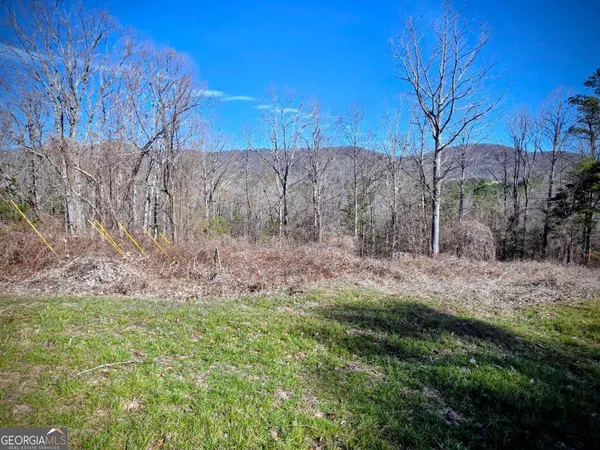 a view of a yard with mountain and trees