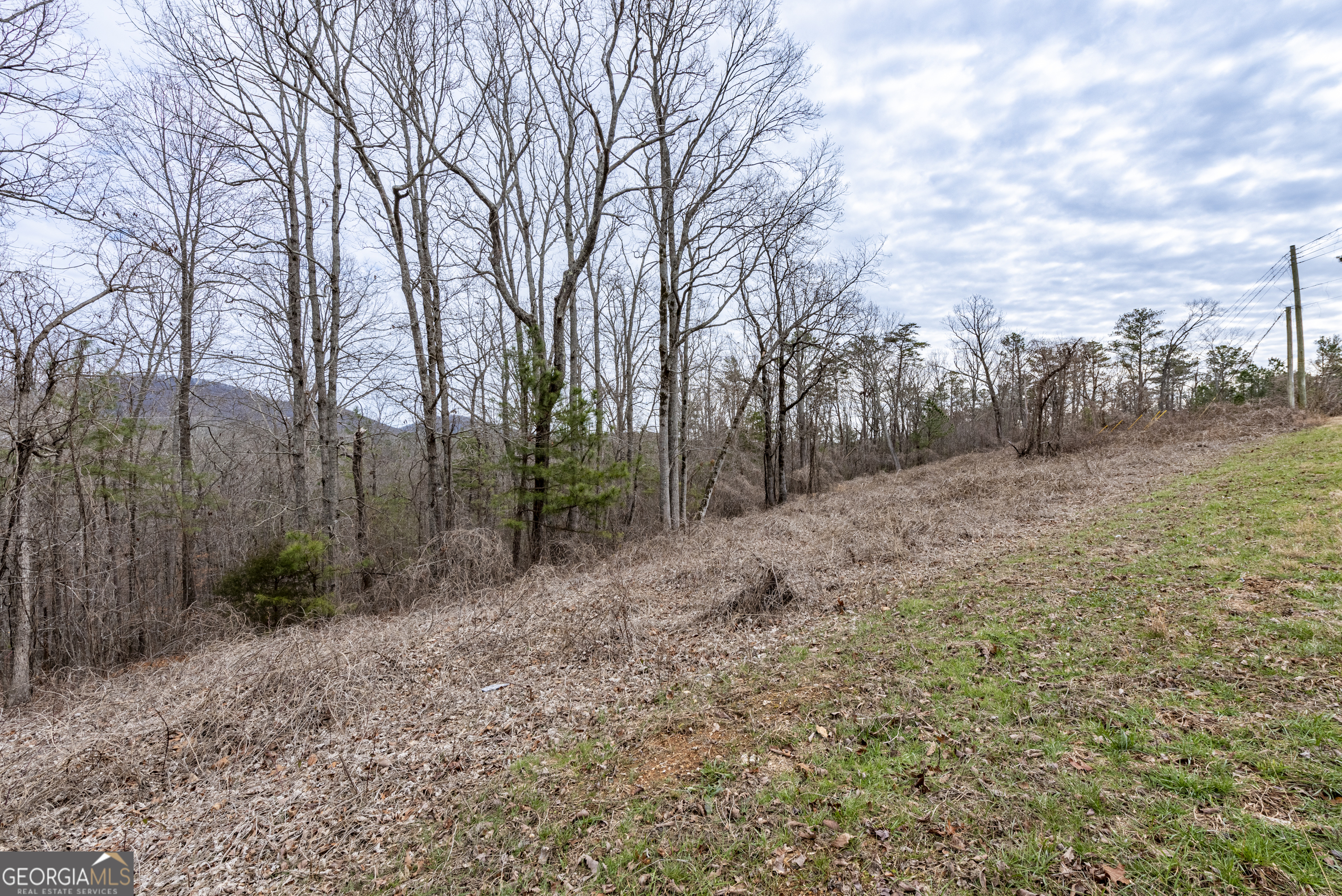 0 Cowart Mountain Road Jasper, GA 30143 - Photo 7 of 14