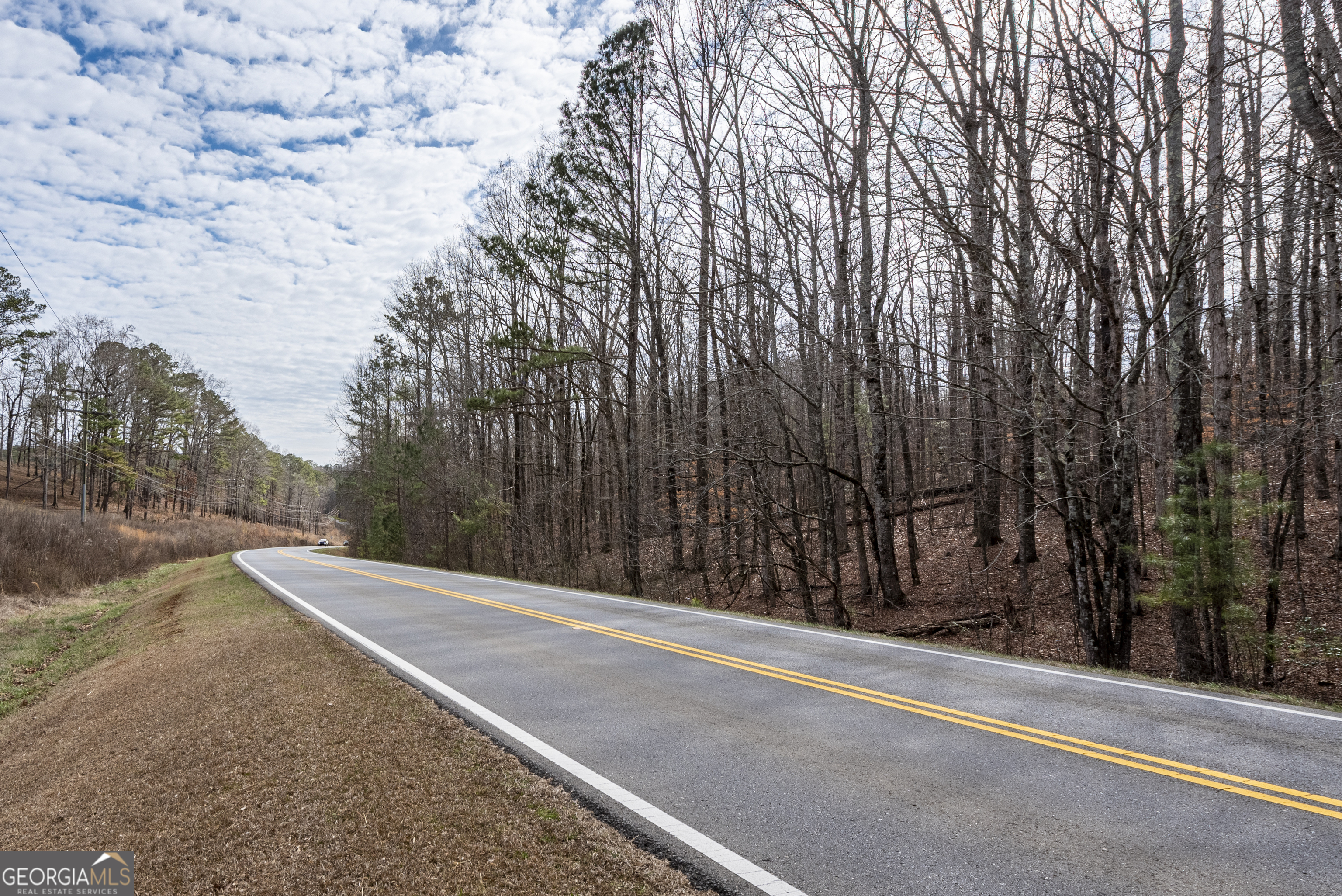 0 Cowart Mountain Road Jasper, GA 30143 - Photo 9 of 14