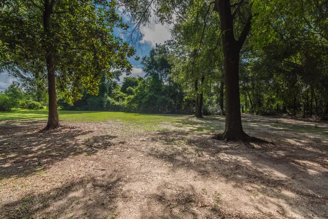 a view of a yard with a tree