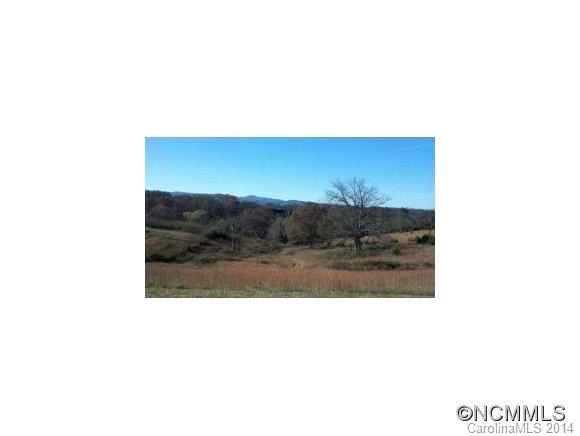 590 Fletcher Martin Road Alexander, NC 28701 - Photo 3 of 10 Gallery Image 3