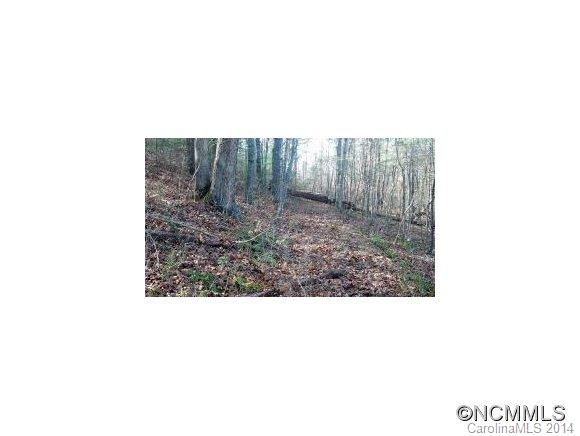 590 Fletcher Martin Road Alexander, NC 28701 - Photo 4 of 10 Gallery Image 4