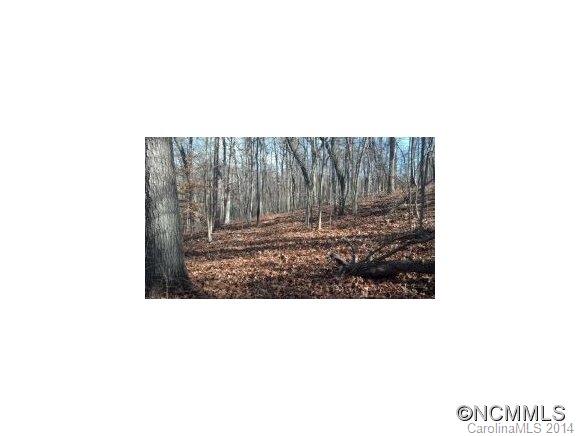 590 Fletcher Martin Road Alexander, NC 28701 - Photo 5 of 10 Gallery Image 5