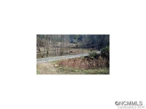 590 Fletcher Martin Road Alexander, NC 28701 - Photo 9 of 10 Gallery Image 9