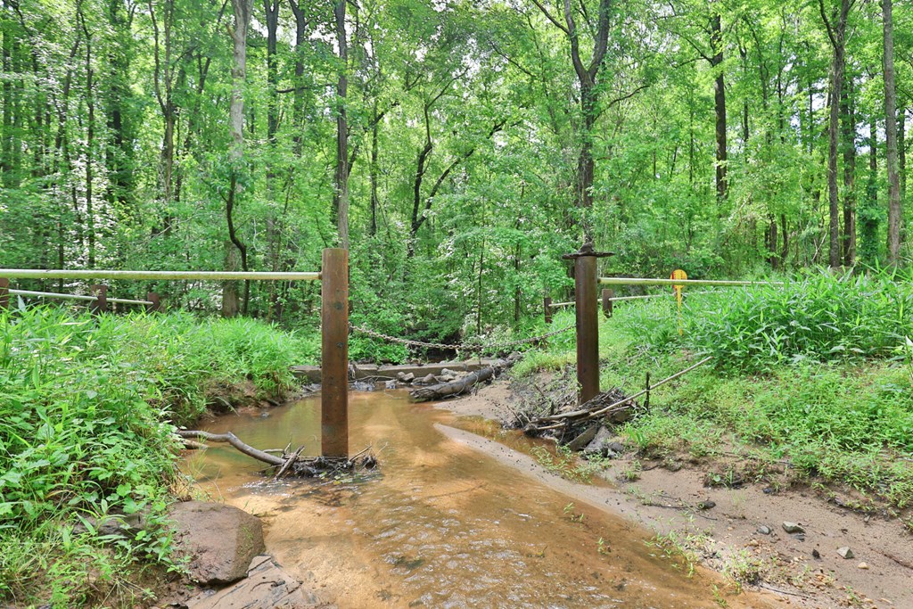 0 North Porter Road Shiloh, GA 31826 - Photo 12 of 32 Gallery Image 12