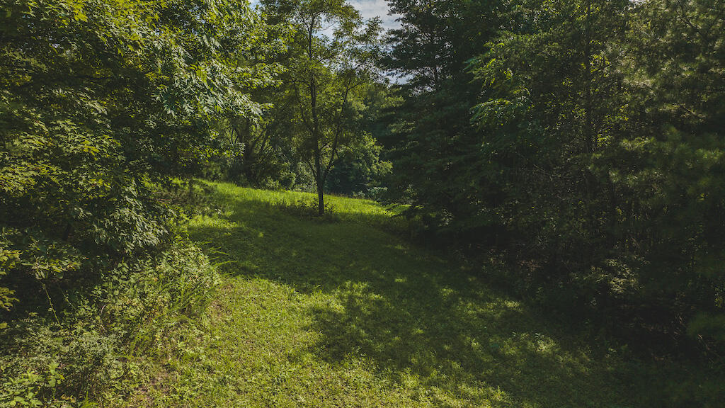 2311 Central Academy Road Stuart, VA 24171 - Photo 54 of 71 a backyard of a house with lots of green space