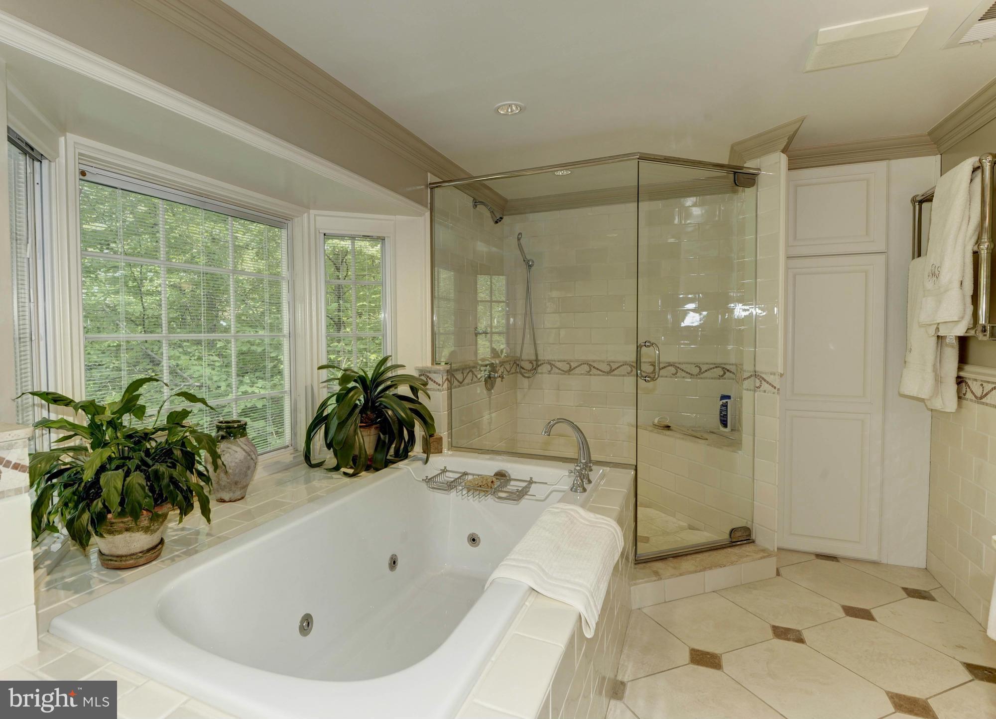 907 Turkey Run Road McLean, VA 22101 - Photo 17 of 30 Bath (Master)