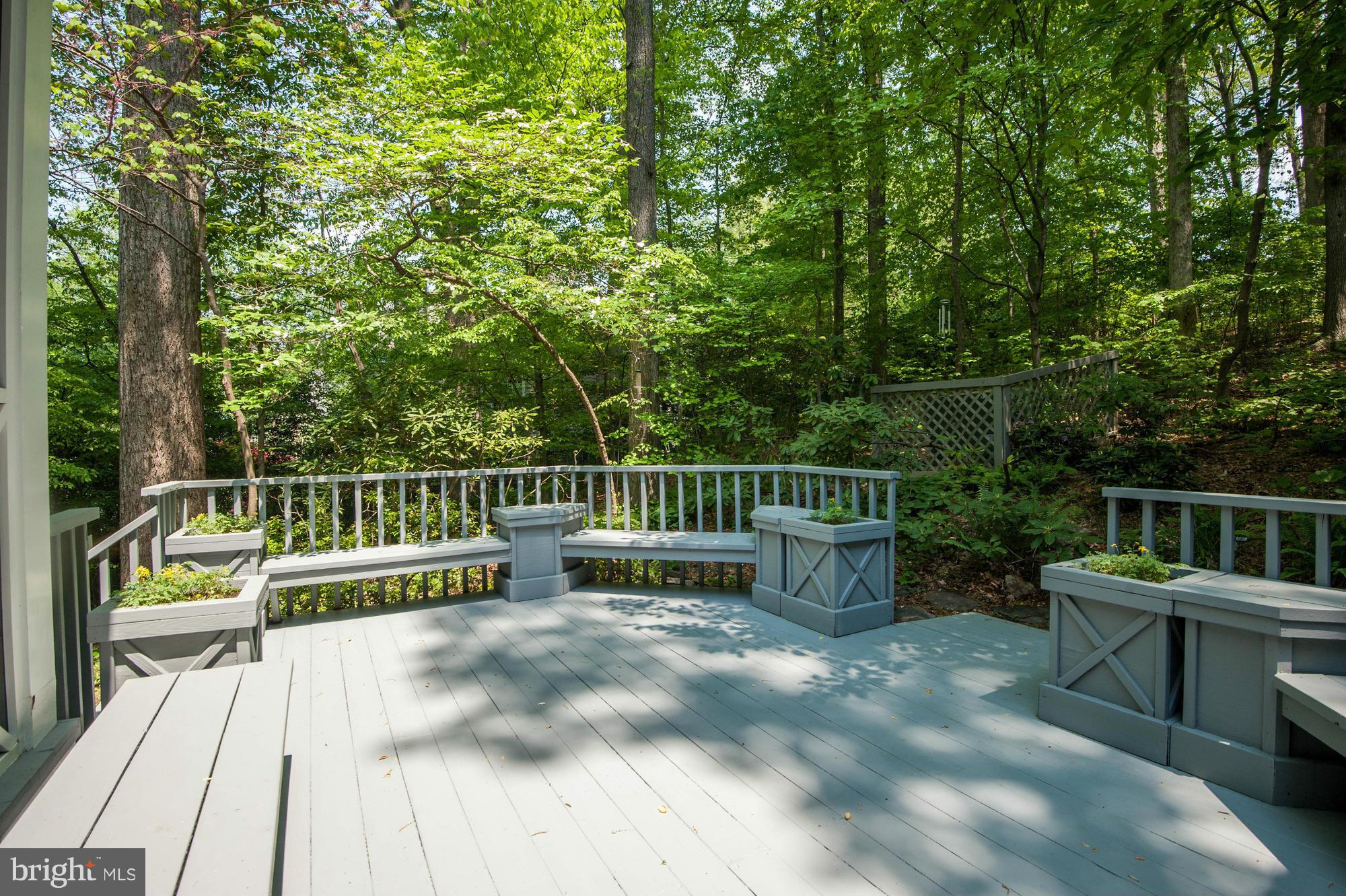 907 Turkey Run Road McLean, VA 22101 - Photo 29 of 30 Rear Deck
