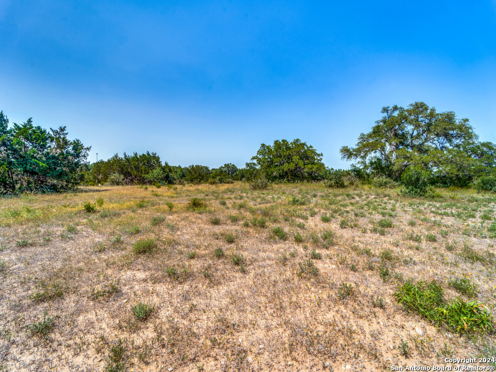 23375 North Cranes Mill Road Canyon Lake, TX 78070 - Photo 2 of 13 a view of a yard with a tree