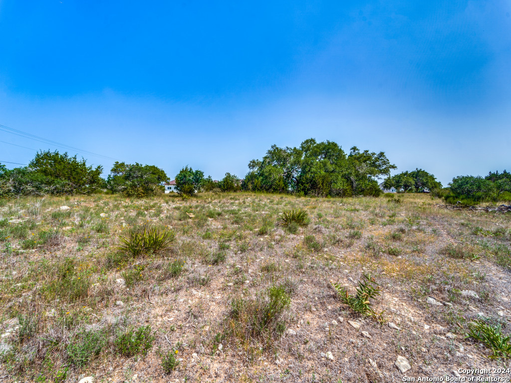 23375 North Cranes Mill Road Canyon Lake, TX 78070 - Photo 3 of 13 a view of a field with trees in background