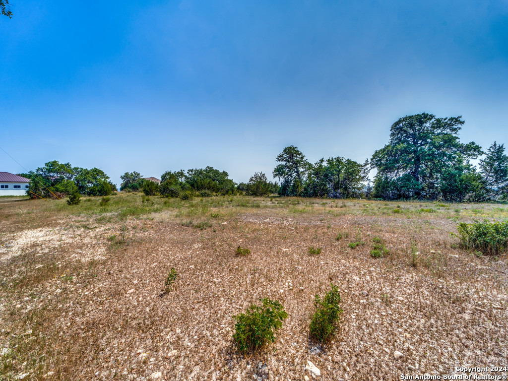 23375 North Cranes Mill Road Canyon Lake, TX 78070 - Photo 4 of 13 a view of a field with trees in background