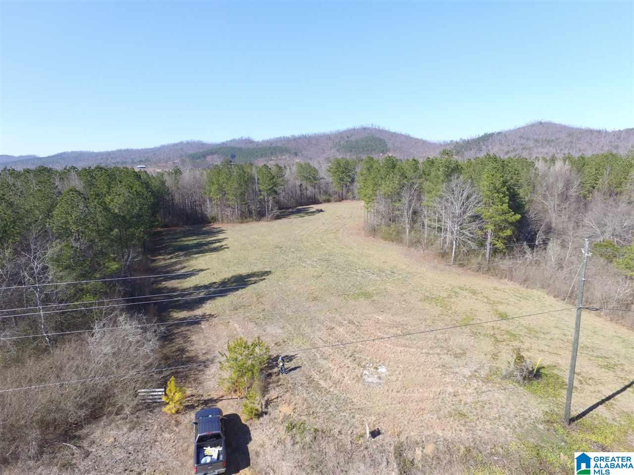 0 Shoal Creek Road, Unit 10 AC Ashville, AL 35953 - Photo 12 of 13