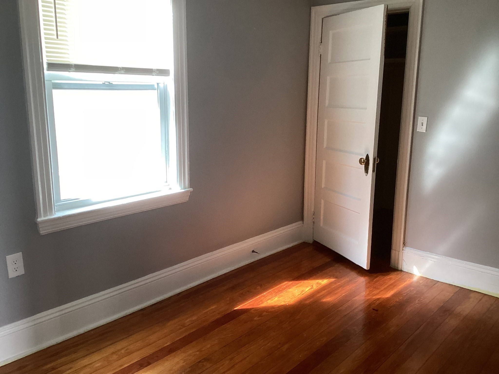 40 Newcastle Road, Unit 1 Boston, MA 02135 - Photo 11 of 30 Gallery Image 11