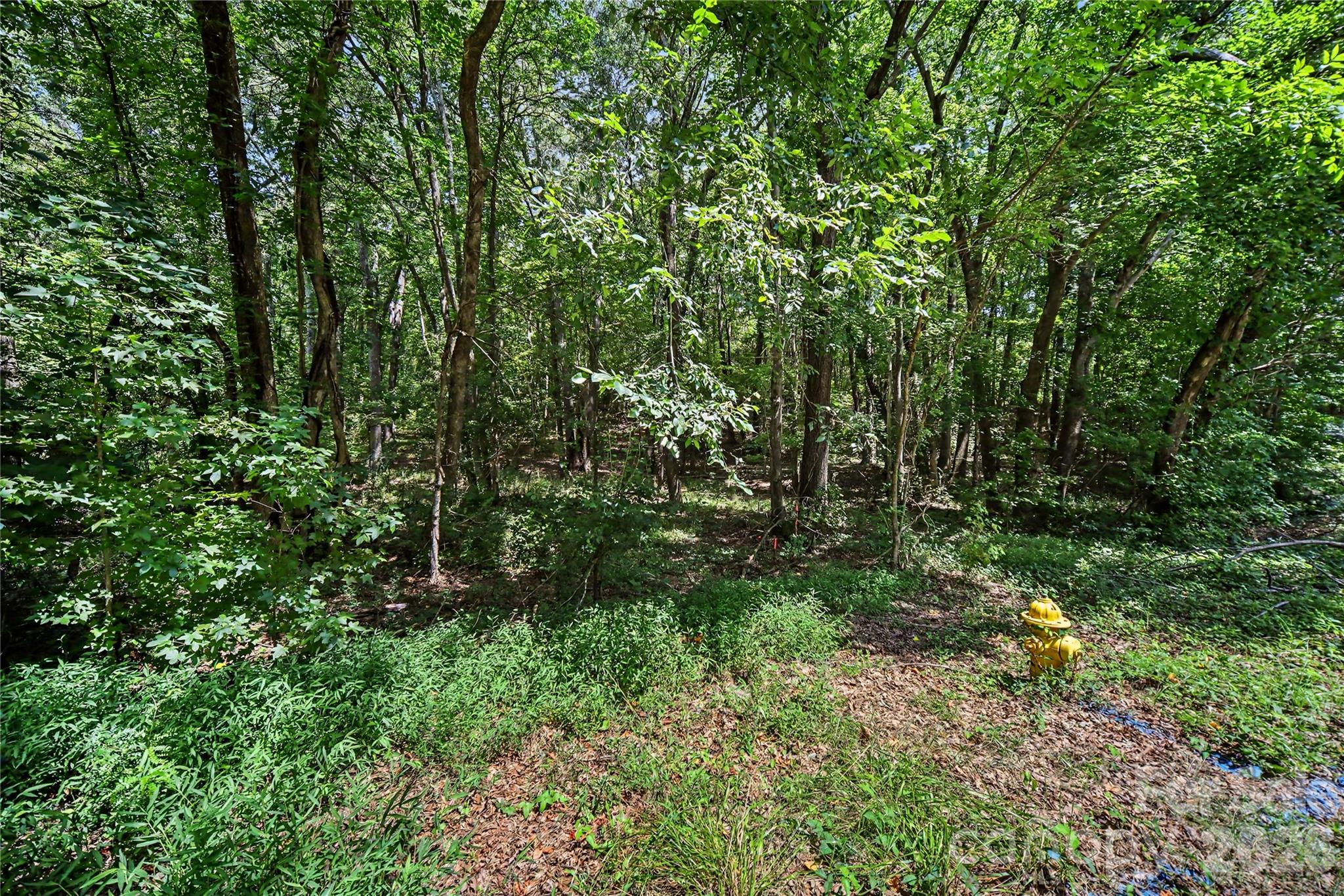 2402 Simfield Church Road Matthews, NC 28104 - Photo 16 of 21 Gallery Image 16