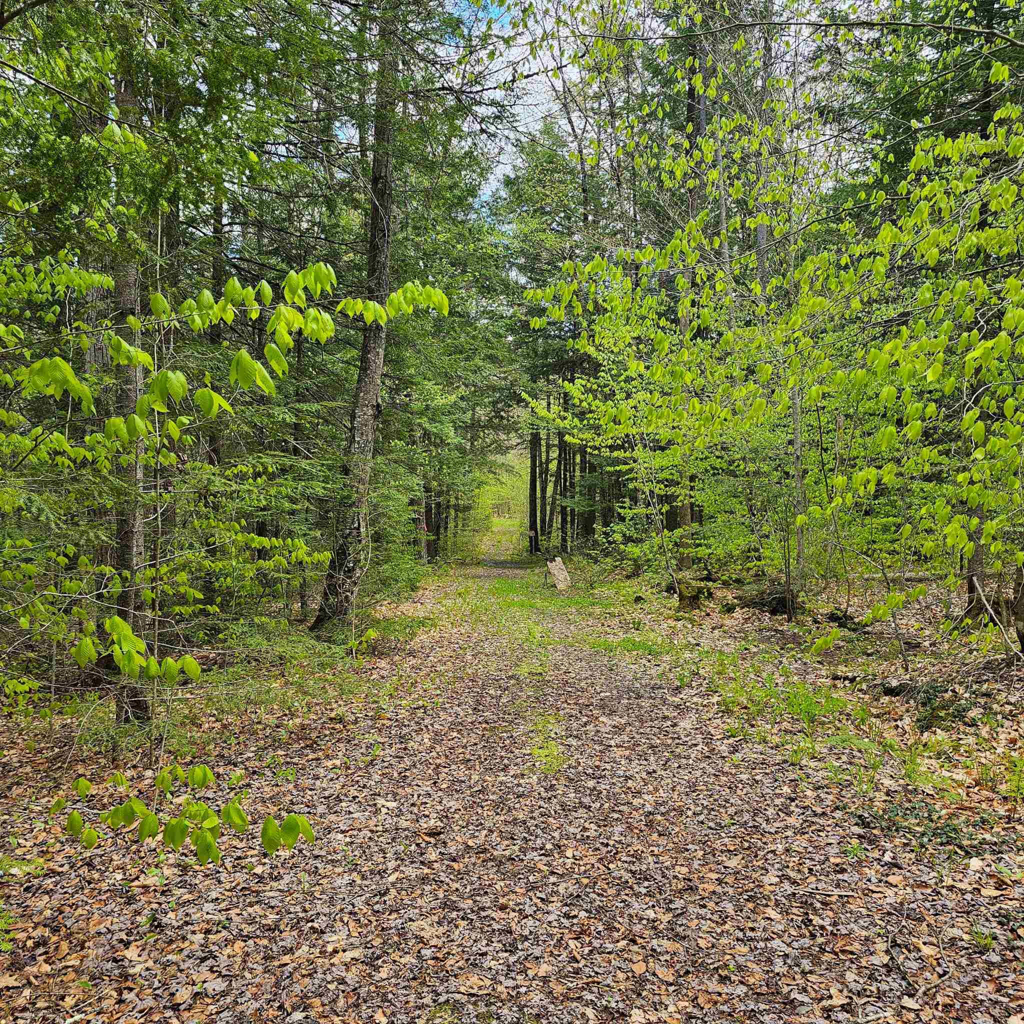 1175 Quarry Road Chester, VT 05143 - Photo 4 of 20