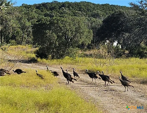a view of a lake view