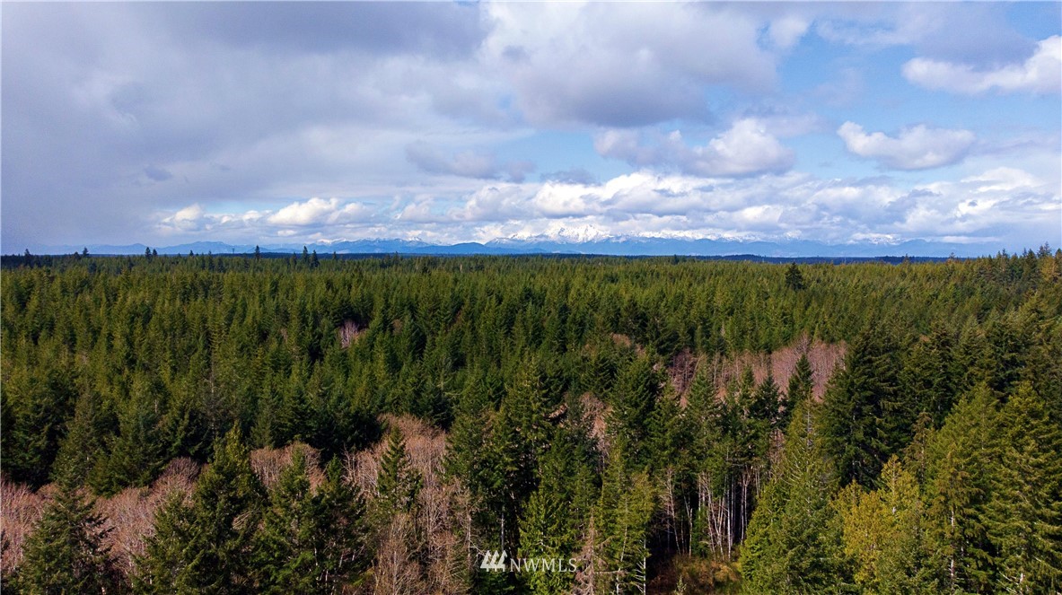 140 East Leffler Loop Road Grapeview, WA 98546 - Photo 1 of 18 Gallery Image 1
