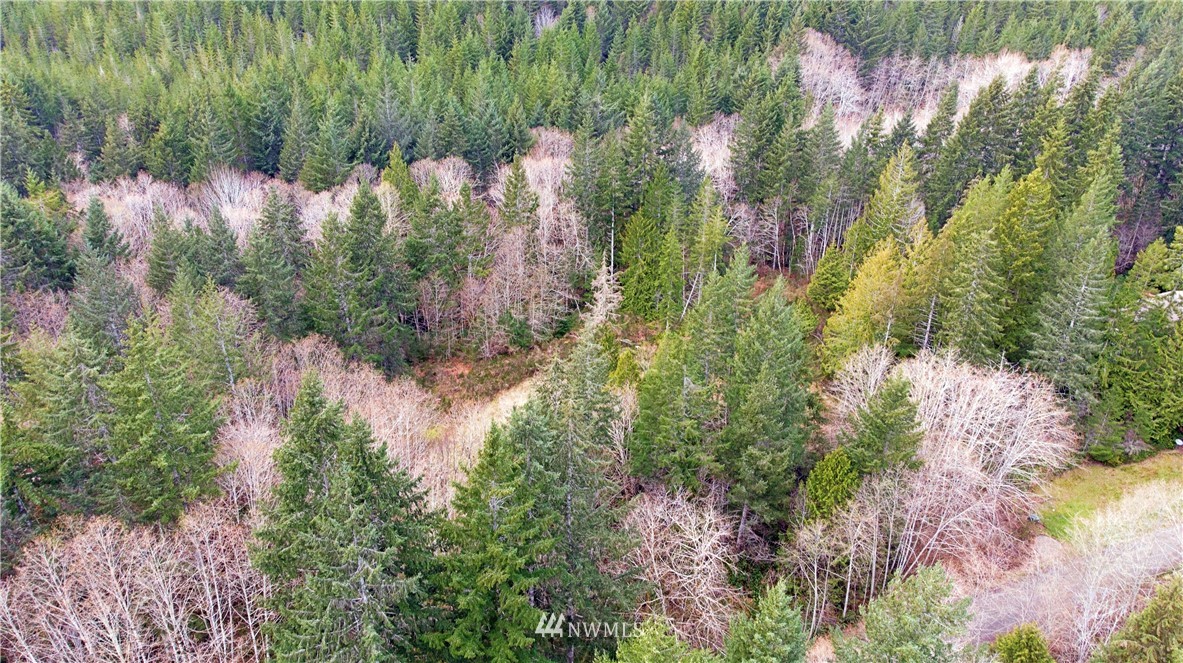 140 East Leffler Loop Road Grapeview, WA 98546 - Photo 2 of 18 Gallery Image 2