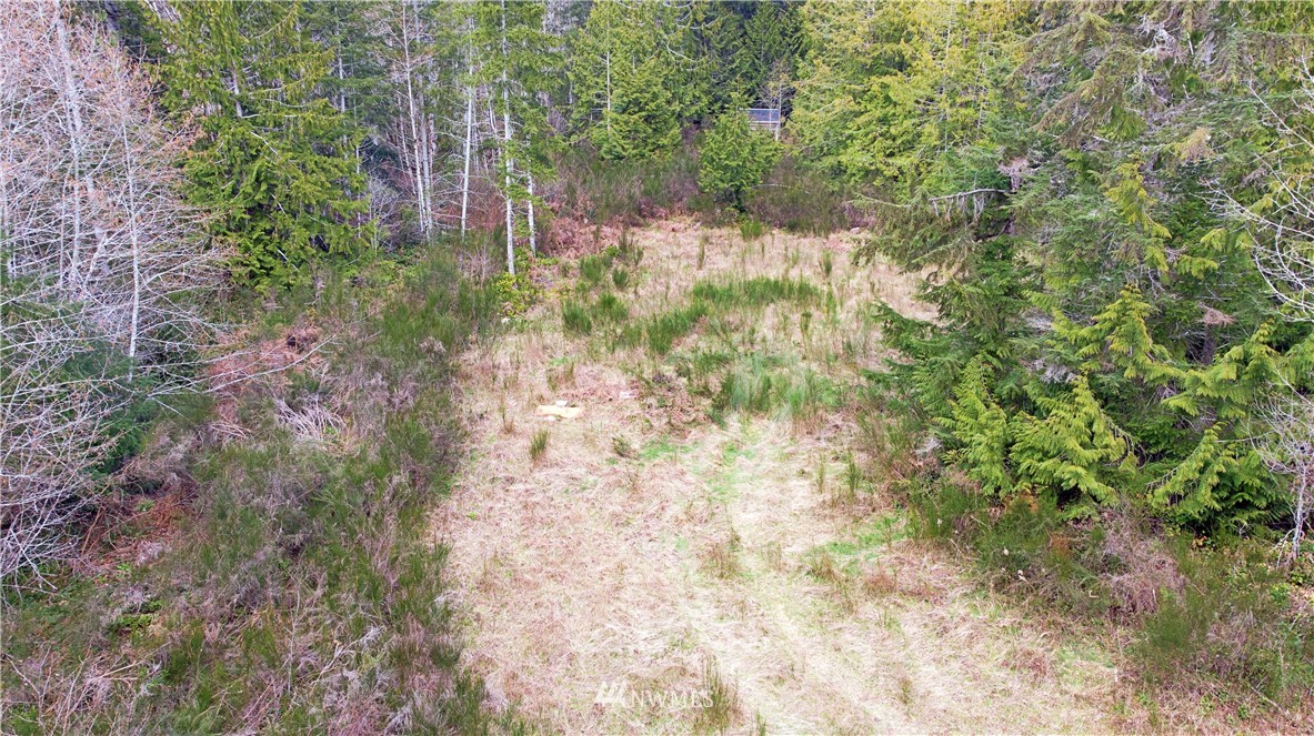 140 East Leffler Loop Road Grapeview, WA 98546 - Photo 11 of 18 Gallery Image 11