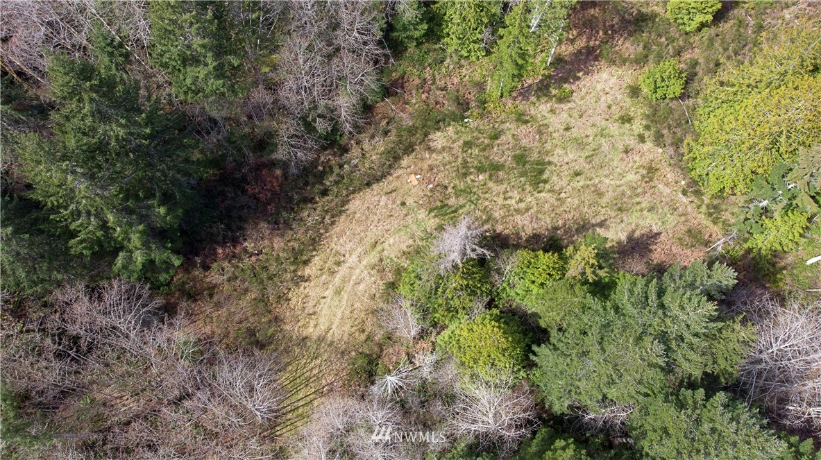 140 East Leffler Loop Road Grapeview, WA 98546 - Photo 12 of 18 Gallery Image 12