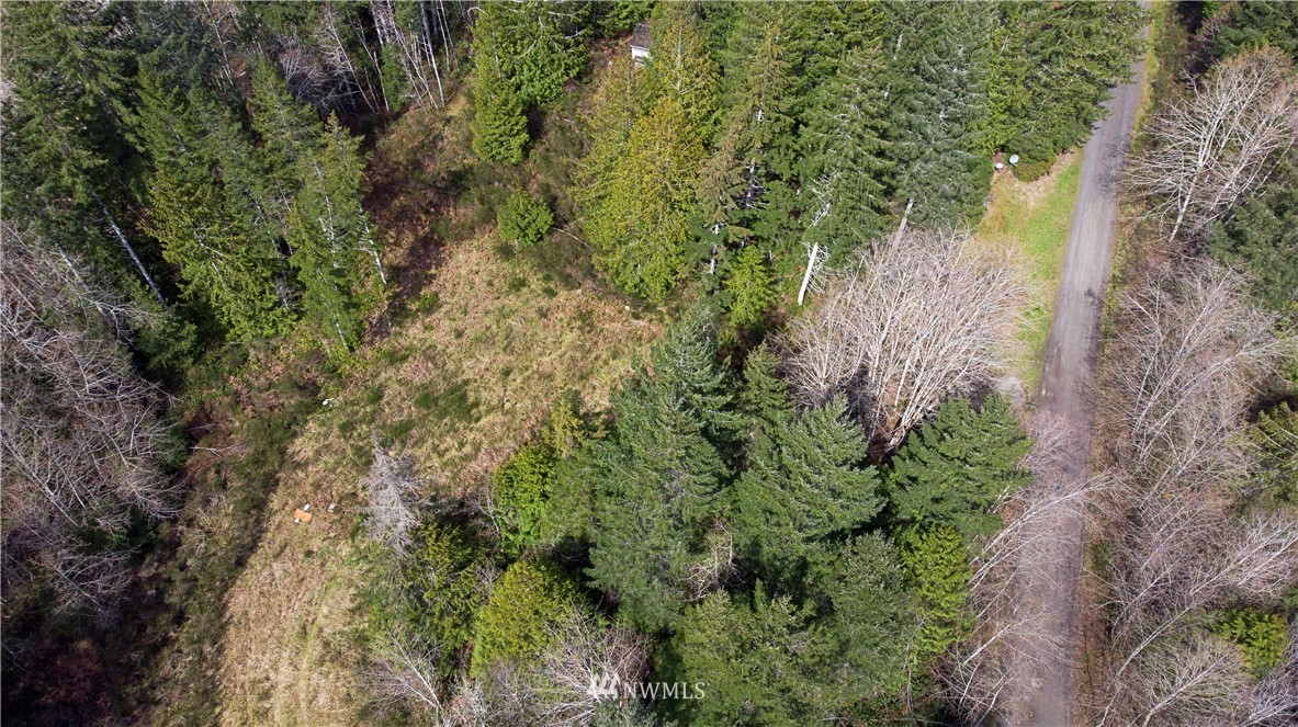 140 East Leffler Loop Road Grapeview, WA 98546 - Photo 13 of 18 Gallery Image 13