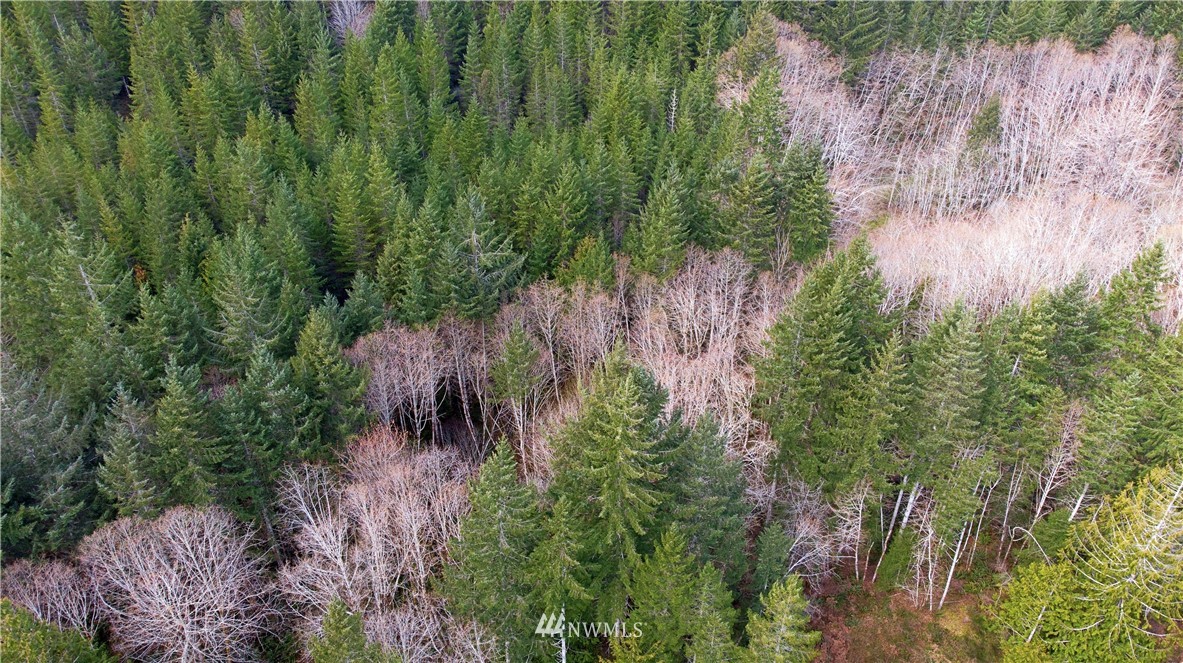 140 East Leffler Loop Road Grapeview, WA 98546 - Photo 14 of 18 Gallery Image 14