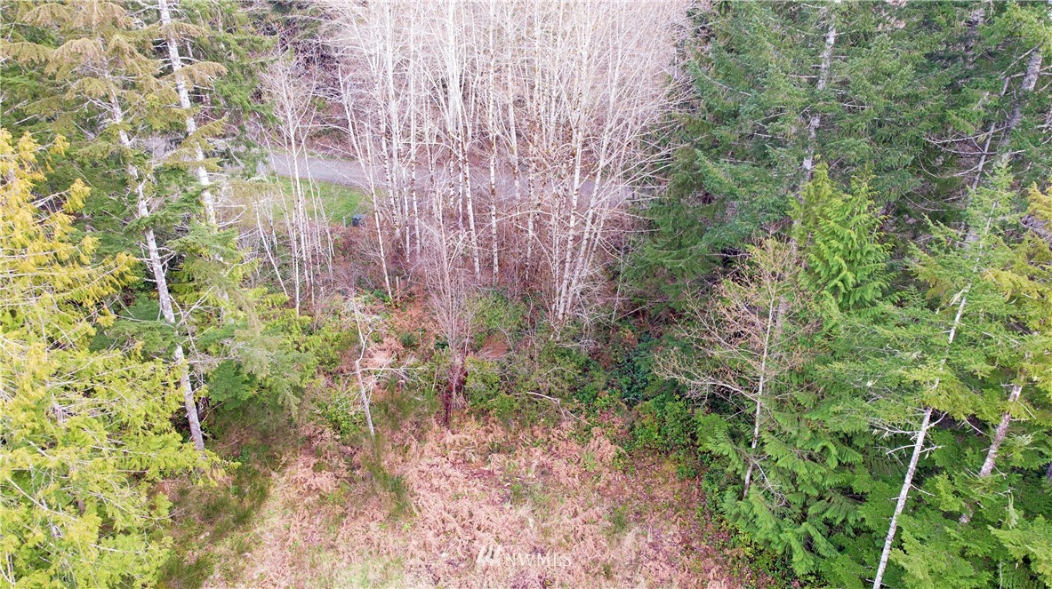 140 East Leffler Loop Road Grapeview, WA 98546 - Photo 15 of 18 Gallery Image 15