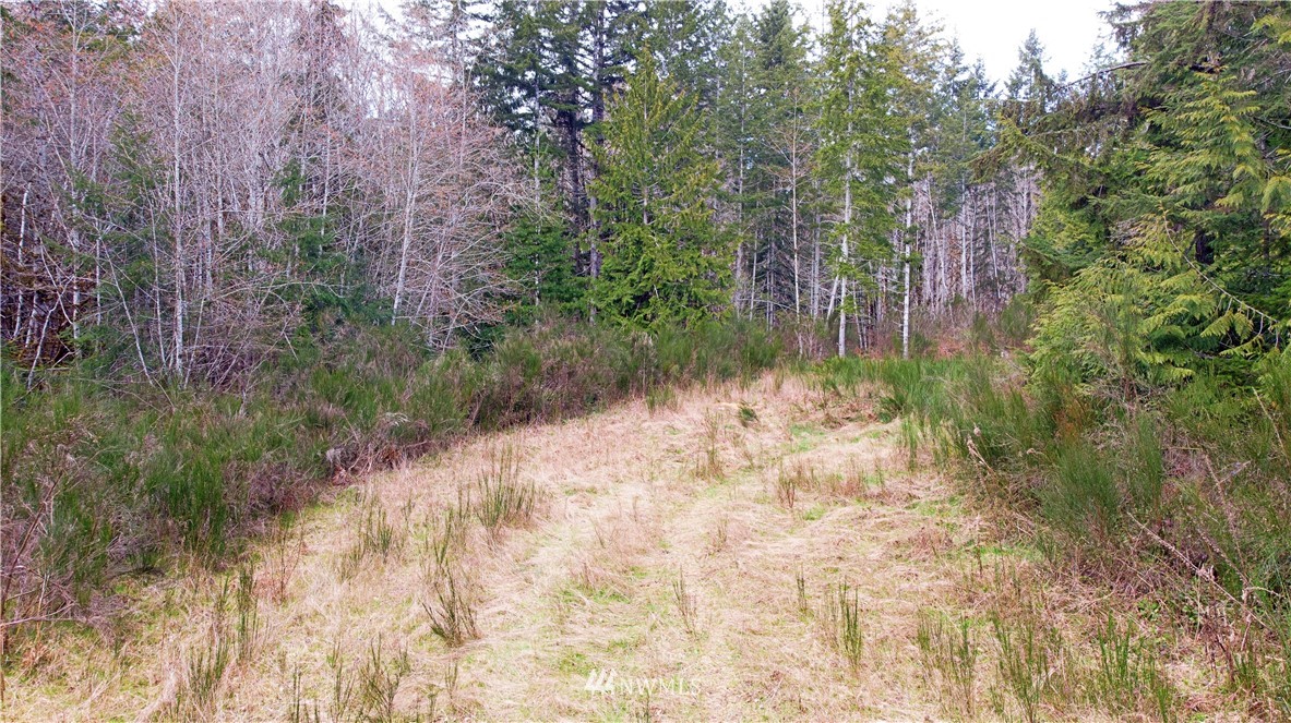 140 East Leffler Loop Road Grapeview, WA 98546 - Photo 16 of 18 Gallery Image 16