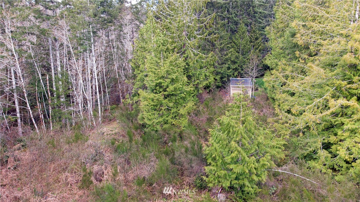 140 East Leffler Loop Road Grapeview, WA 98546 - Photo 17 of 18 Gallery Image 17