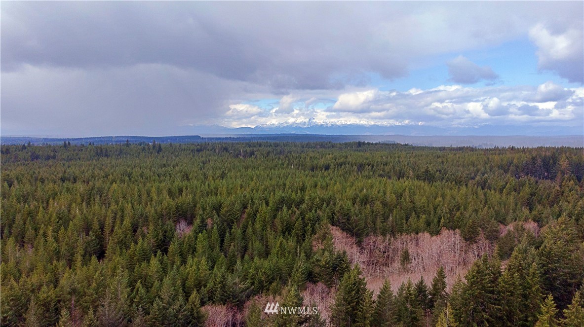 140 East Leffler Loop Road Grapeview, WA 98546 - Photo 18 of 18 Gallery Image 18