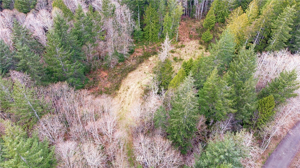 140 East Leffler Loop Road Grapeview, WA 98546 - Photo 3 of 18 Gallery Image 3