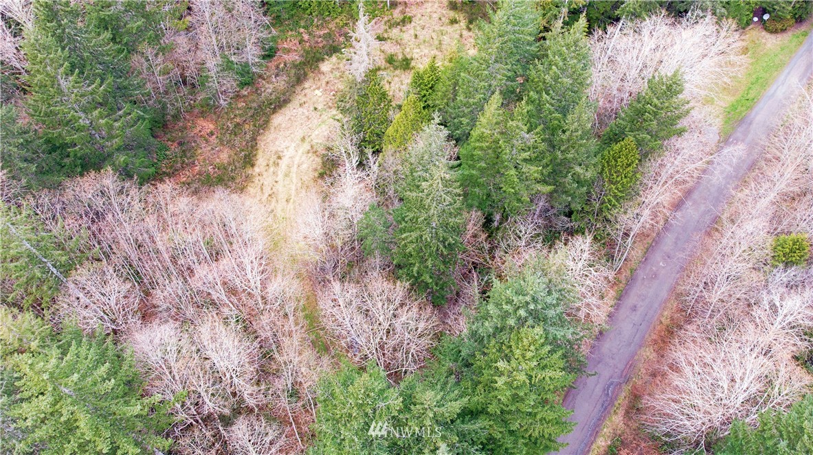 140 East Leffler Loop Road Grapeview, WA 98546 - Photo 4 of 18 Gallery Image 4