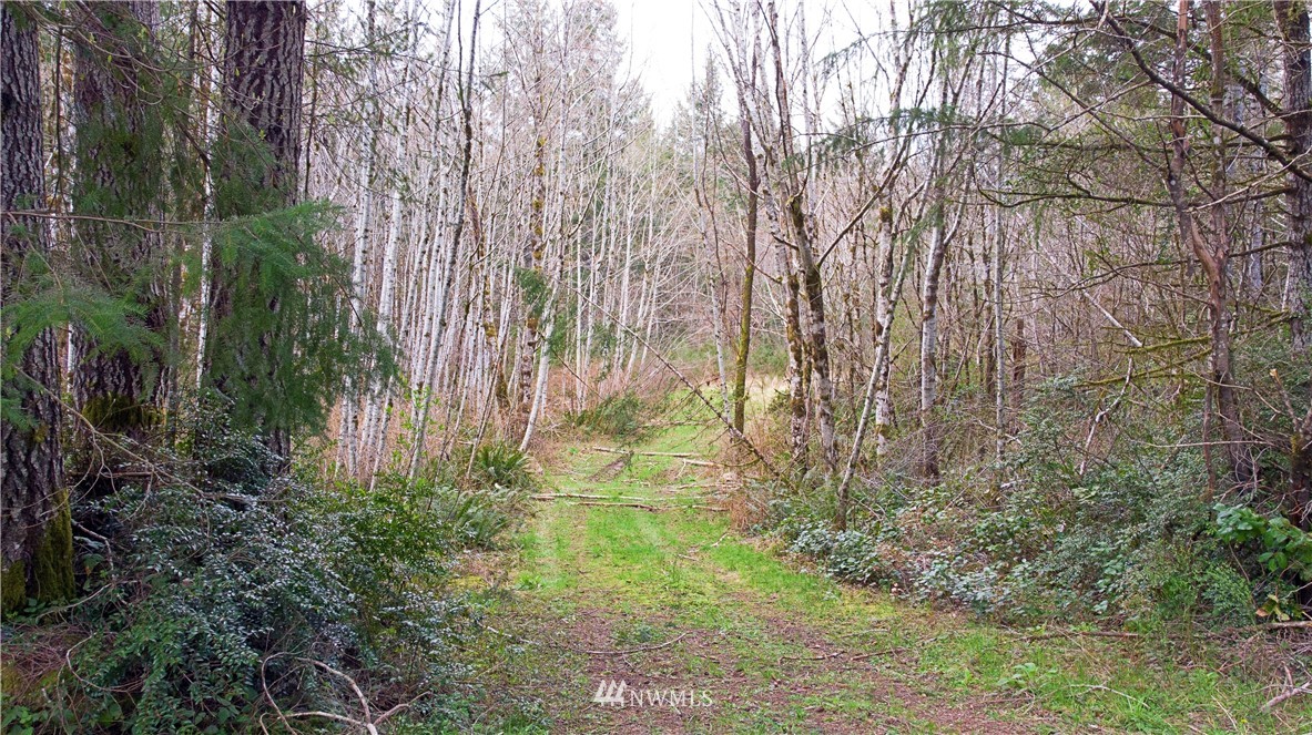 140 East Leffler Loop Road Grapeview, WA 98546 - Photo 7 of 18 Gallery Image 7