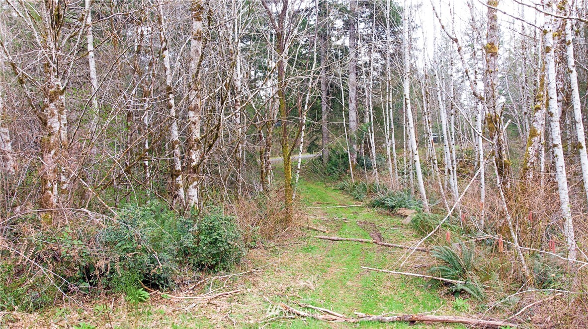 140 East Leffler Loop Road Grapeview, WA 98546 - Photo 8 of 18 Gallery Image 8