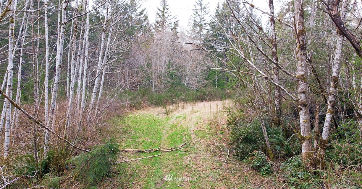140 East Leffler Loop Road Grapeview, WA 98546 - Photo 9 of 18 Gallery Image 9