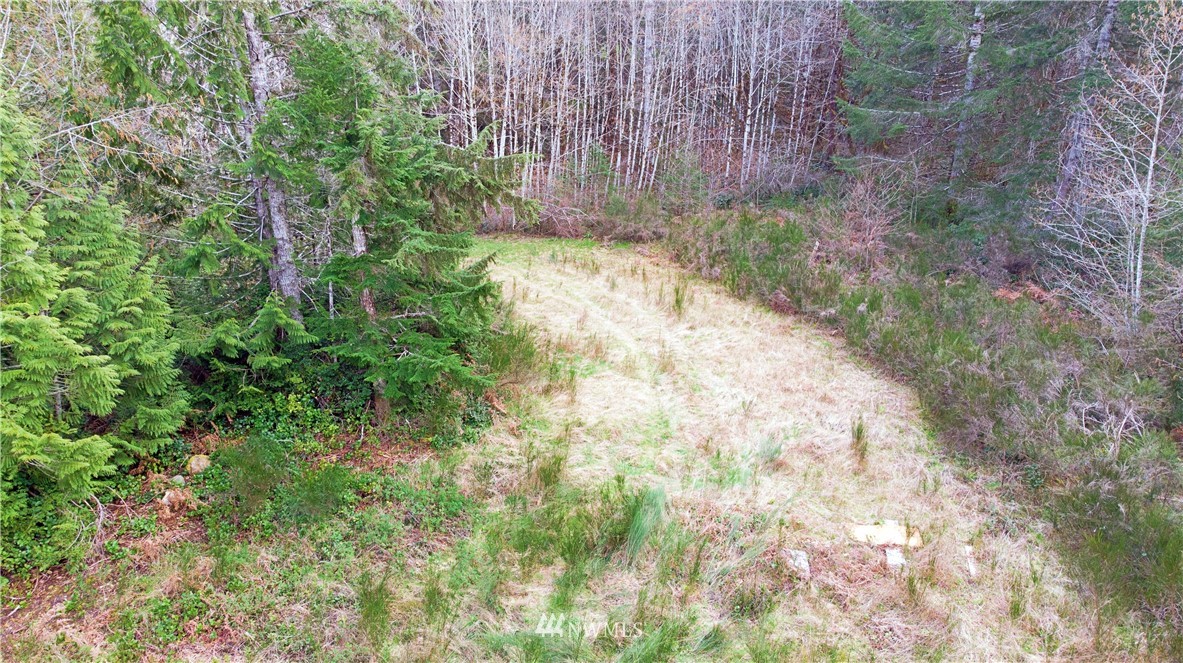 140 East Leffler Loop Road Grapeview, WA 98546 - Photo 10 of 18 Gallery Image 10