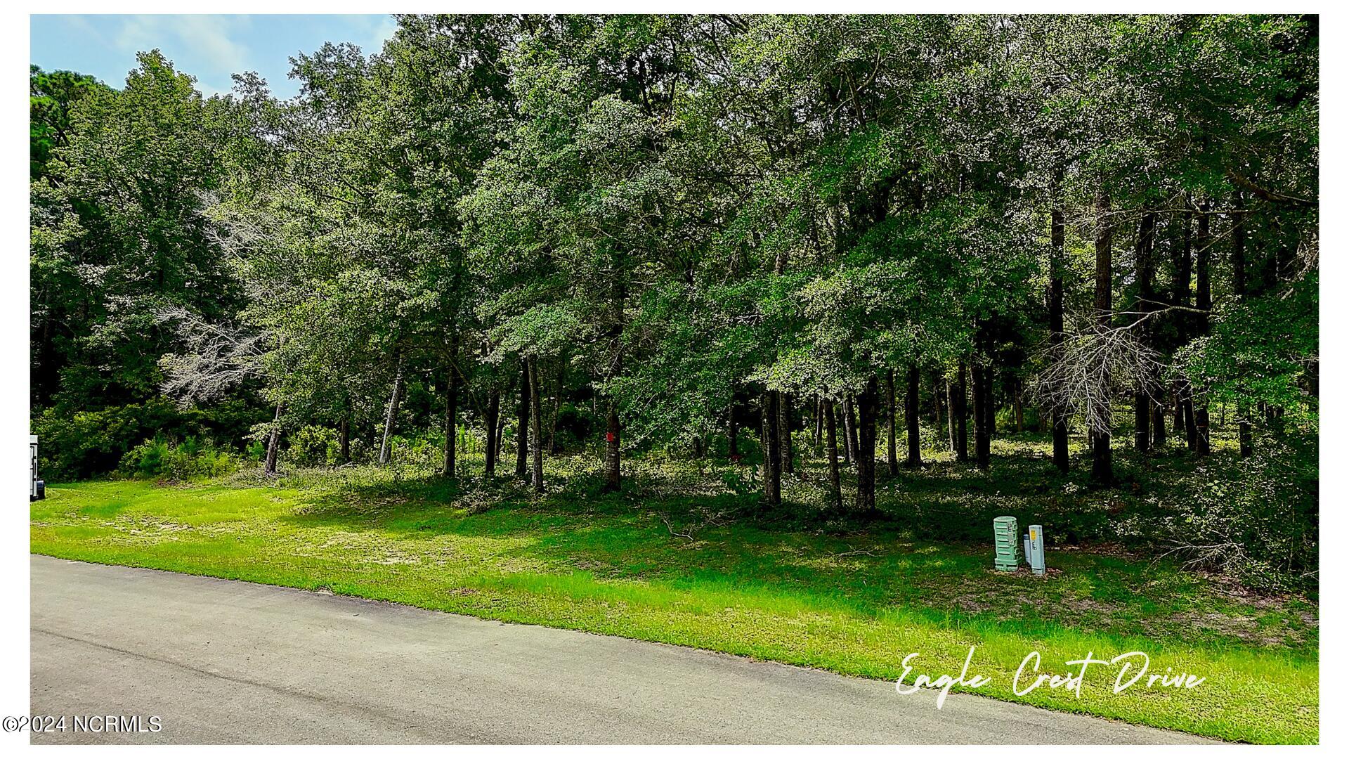 3492 Eagle Crest Drive Southwest Supply, NC 28462 - Photo 4 of 27 04 - Street View